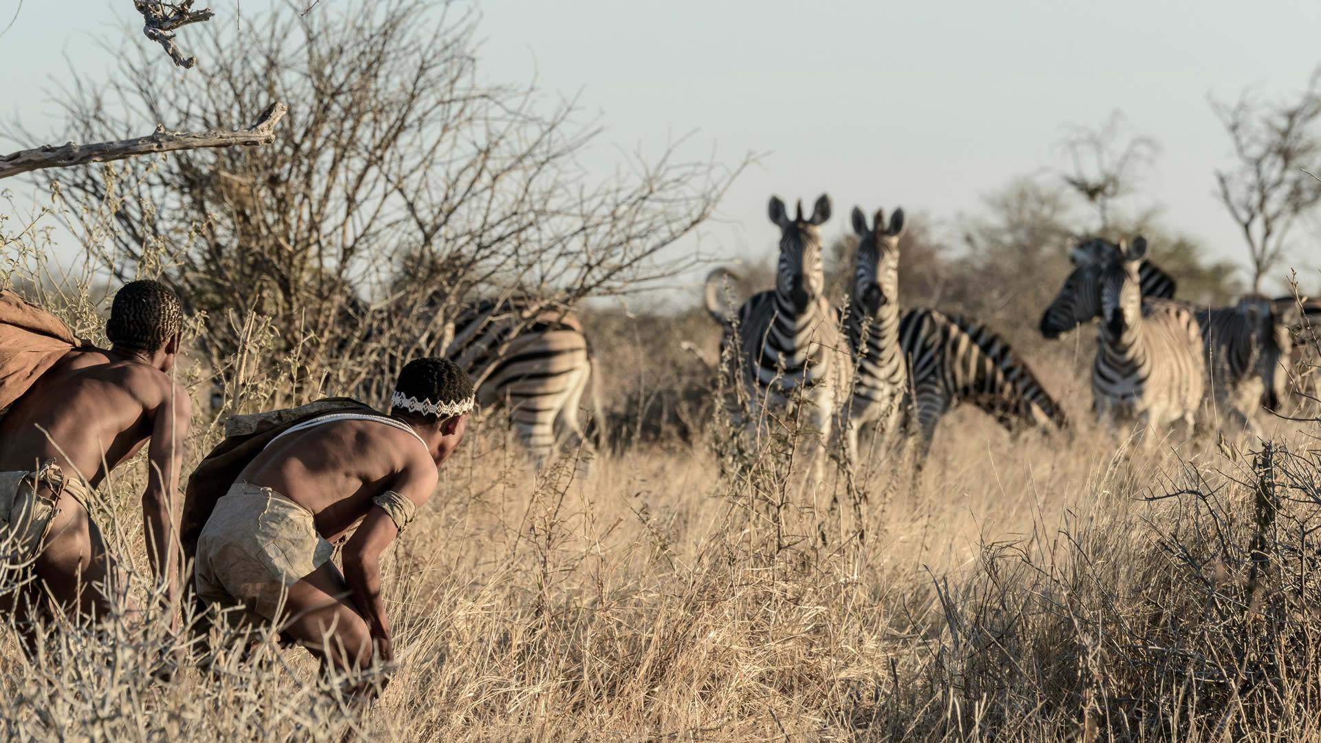 central kalahari game reserve