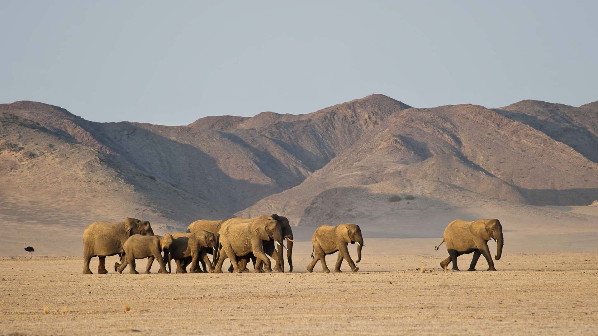 Damaraland Asai Africa Safaris